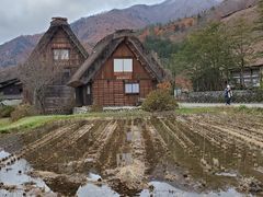 -白川乡与五箇山的合掌构造村落