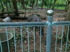 -广东茂名森林公园