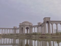 -大港湿地公园