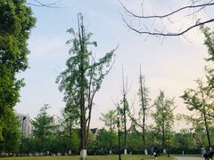 -成都南湖公园