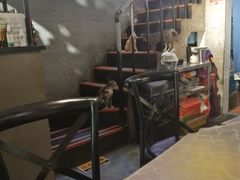 猫猫-三生小馆(亭知路店)