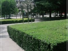 -城市运动公园(未央区)