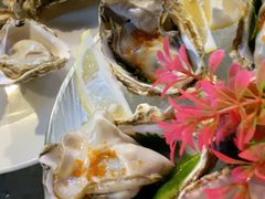 -千岛蚝高压锅生蚝·人参火锅(白云万达店)