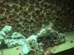 -北戴河圣蓝海洋公园