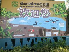 -福田红树林生态公园