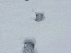 -金陵之星大酒店·中餐厅