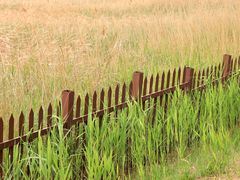 -野鸭湖国家湿地公园