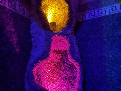 -木子塘汗蒸生活馆(财富港店)