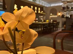 -来龙里 精致 东南亚餐室(万象城店)