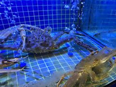 -绍兴中金豪庭大酒店·豪庭阁中餐厅