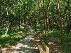 -天河儿童公园