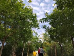 -河北省园博园