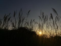 -广州市流溪河国家森林公园