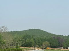 -秦始皇帝陵博物院(兵马俑)