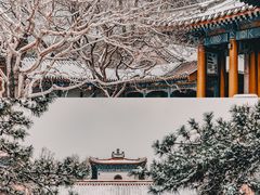 -颐和园