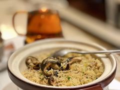 -侨美食家·41年地道粤菜(恒福路店)