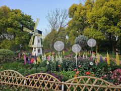 -上海共青森林公园