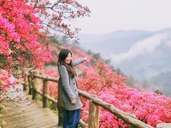-木兰云雾山