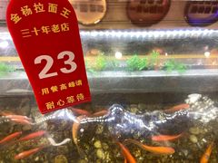 -金杨拉面王小吃面馆·牛三宝面·红烧牛肉粉