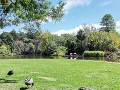 -墨尔本皇家植物园