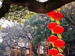 -无锡蠡湖国家湿地公园-蠡园