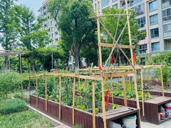 -梧桐人家中国太平国际健康颐养社区