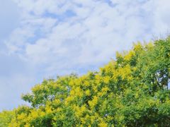 -玄武湖景区-情侣园游乐场