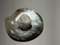 -Oyster Talks 四度蚝法餐厅