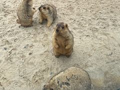 -茅山东方盐湖城景区