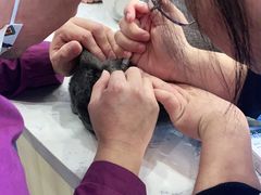 -宠颐生动物医院·小陆分院