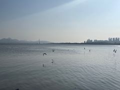 -深圳湾公园(南山区)