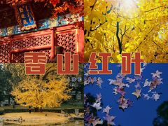 -香山公园