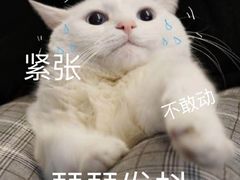 -上海市徐汇区口腔医院