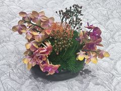 -黄浦轩·臻品淮扬(上海大厦店)