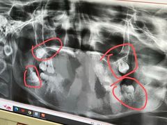 -维乐口腔(格林门诊长宁店)