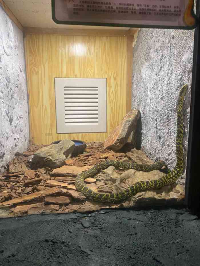 蛇文化展览馆-"来到大连蛇文化展览馆,一进去就有一些蛇的.