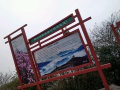 -江西阳明山国家森林公园