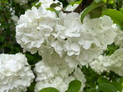 -上海滨江森林公园