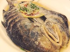 -涵苑私宴定制(外滩店)