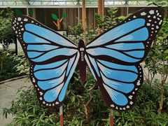 -南宫五洲植物乐园