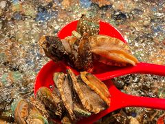 -焰江山海鲜牛排烤肉自助(锦华万达二星店)