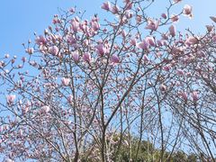 -扬州瘦西湖汇金酒店