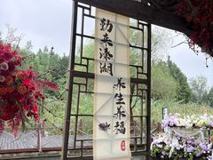 -溱湖国家湿地公园