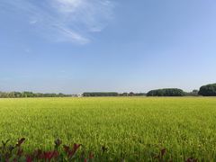 -嘉北郊野公园