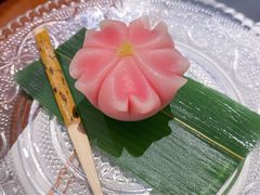 -觀芷隐轩
