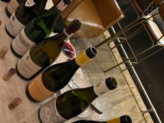 -Wine Universe 宇宙酒馆