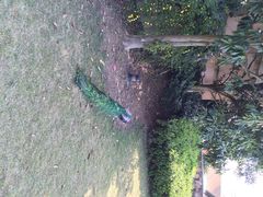 千岛湖开元度假村-杭州千岛湖开元度假村