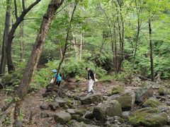-香炉山国家森林公园