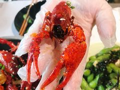 -一棠龙虾•王牌虾球(楚河汉街店)
