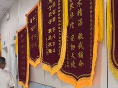 -中农国际动物医院24小时·猫科·骨科·急重症中心